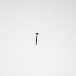 2013 Suche 29062013 Michal